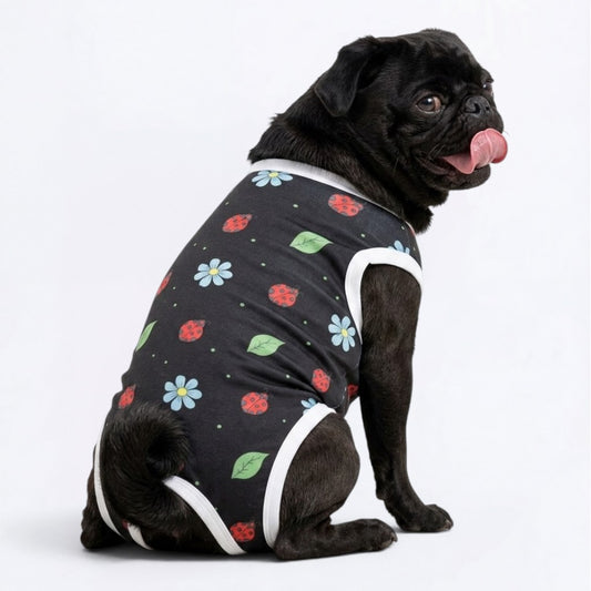 Arlo - Pug Surgery Recovery Suit