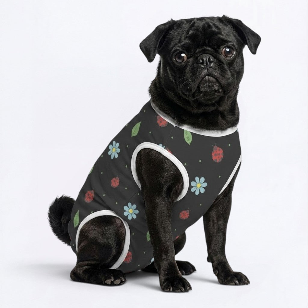 Arlo - Pug Surgery Recovery Suit