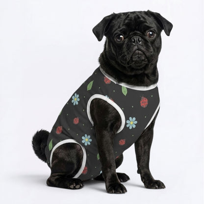Arlo - Pug Surgery Recovery Suit