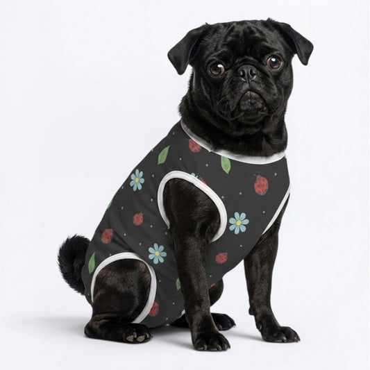 Arlo - Pug Surgery Recovery Suit