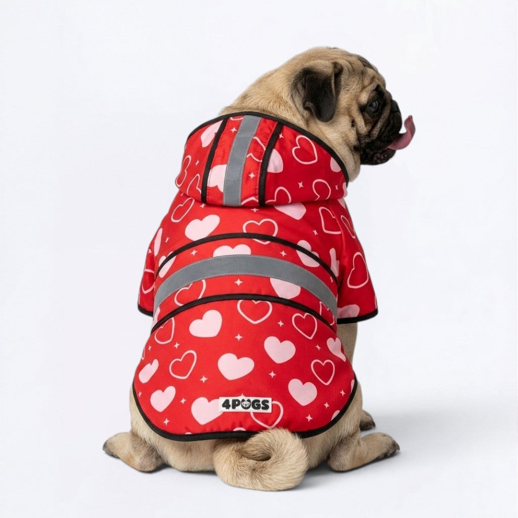Boonie - Reflective Pug Poncho