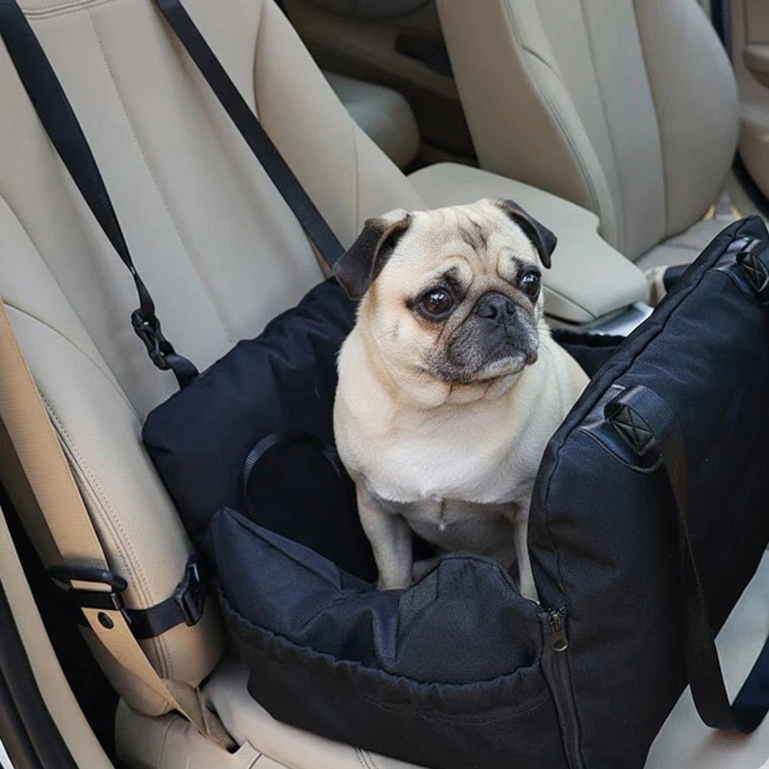 RidePaw-Pug-Car-Seat-Bed.jpg