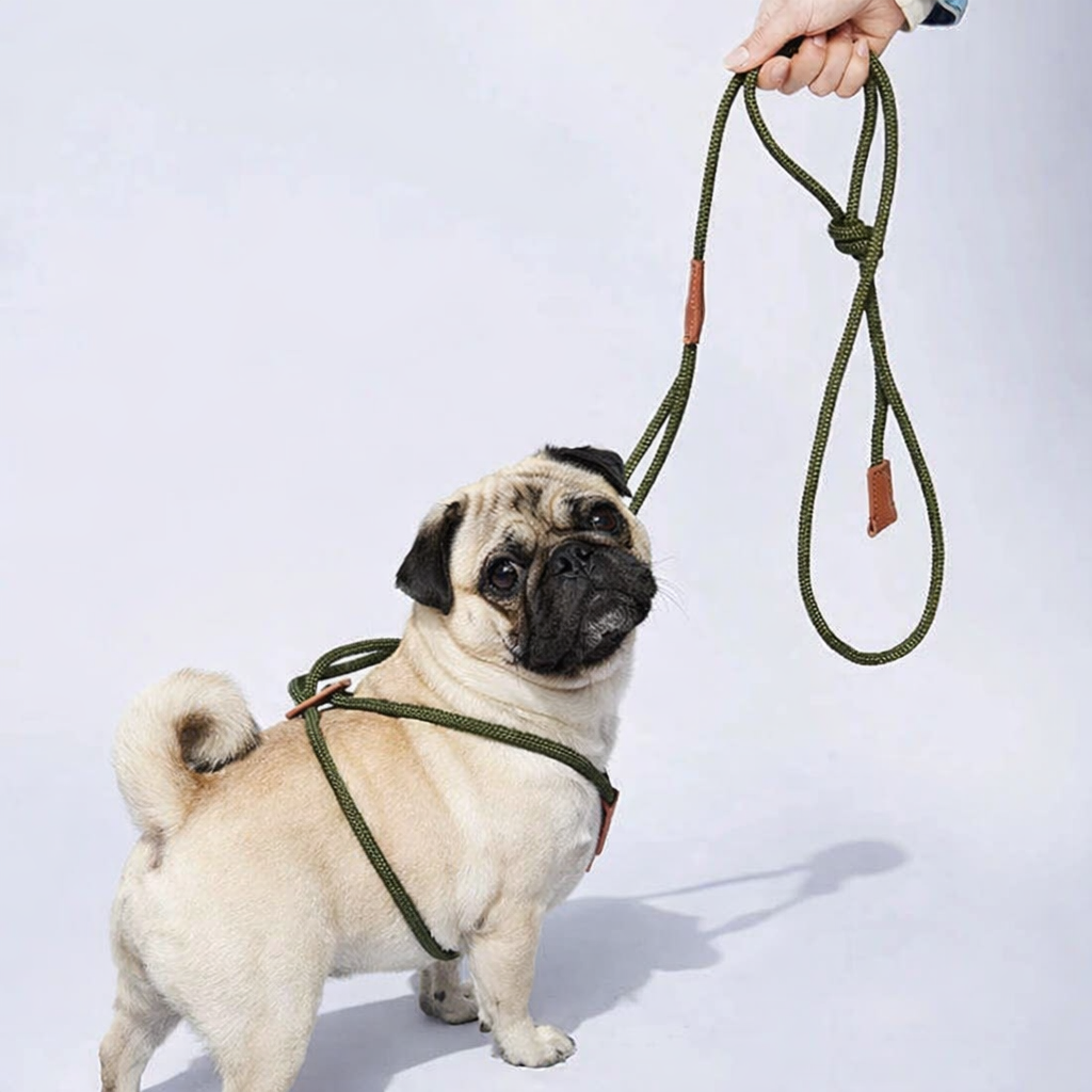 Rovely-Pug-Rope-Harness-Leash.jpg