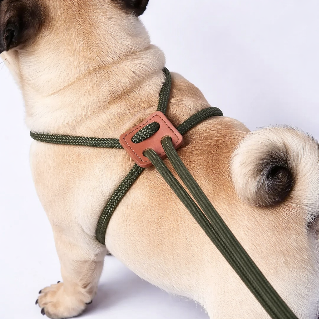 Rovely-Pug-Rope-Harness-Leash.jpg