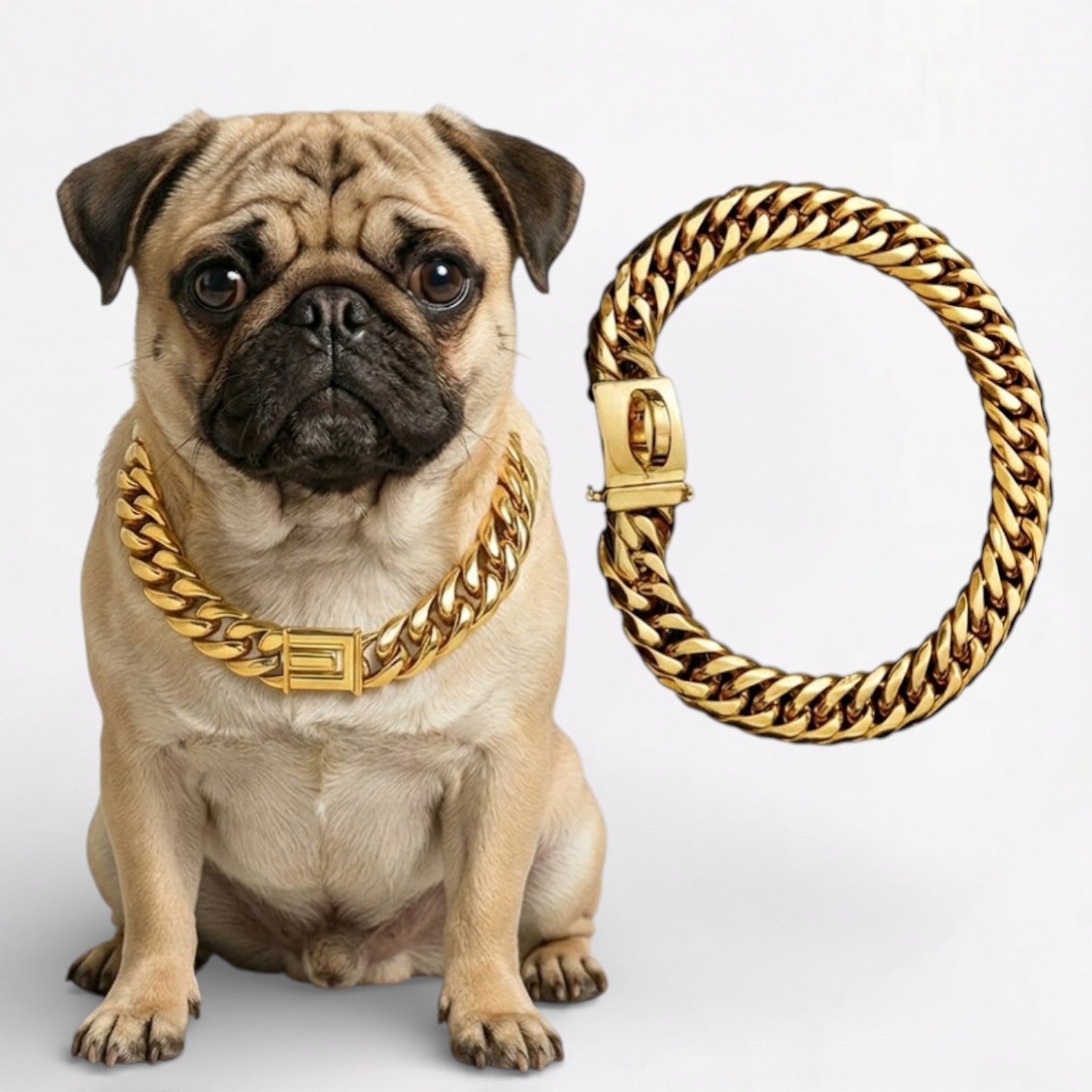 RoyalPaw-Pug-Gold-Plated-Chain-Collar.jpg