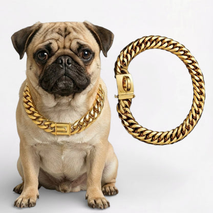RoyalPaw-Pug-Gold-Plated-Chain-Collar.jpg