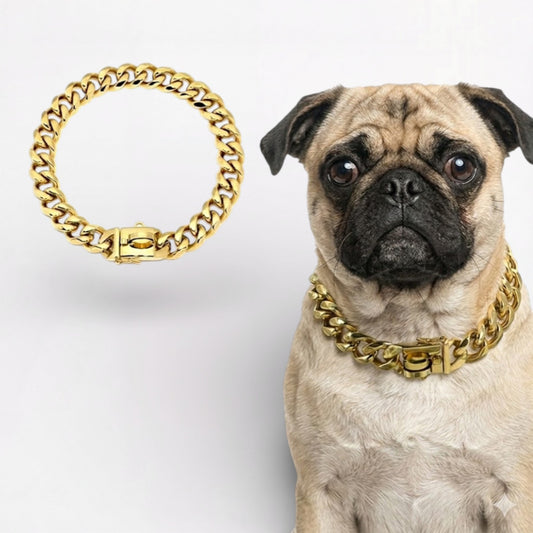 RoyalPaw-Pug-Gold-Plated-Chain-Collar.jpg