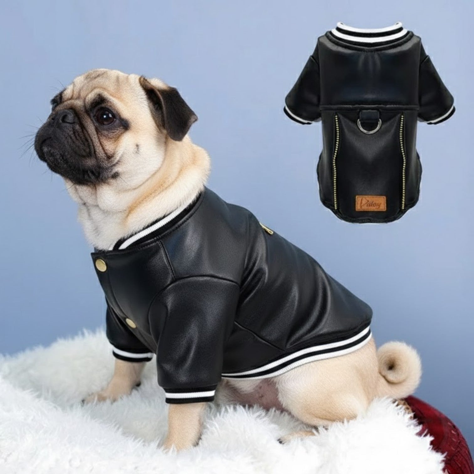 RuffRider-Pug-Leather-Jacket.jpg