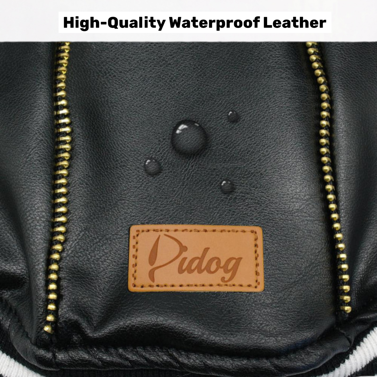 RuffRider-Pug-Leather-Jacket.jpg