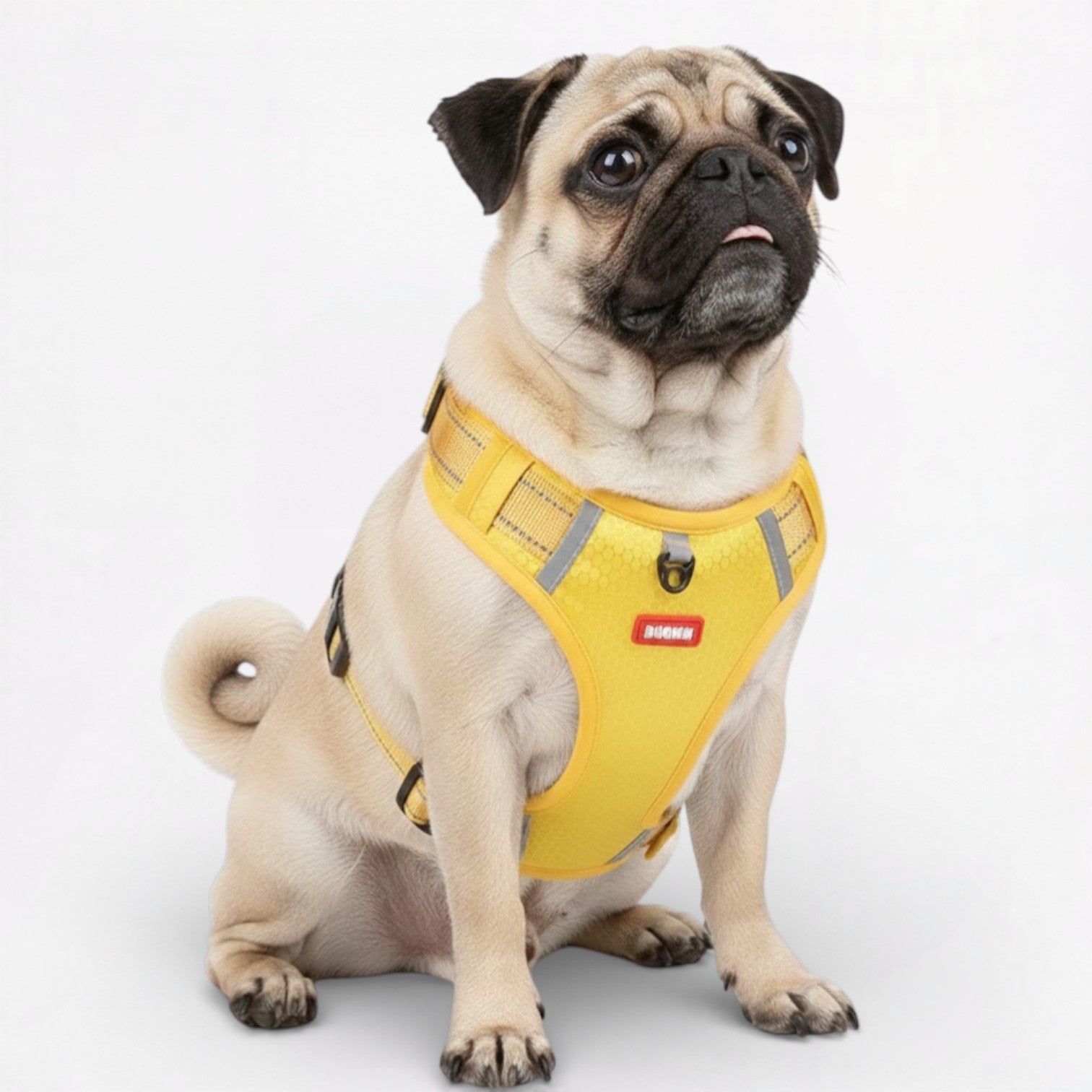 SecureStride-Pug-Harness-Leash-Set.jpg