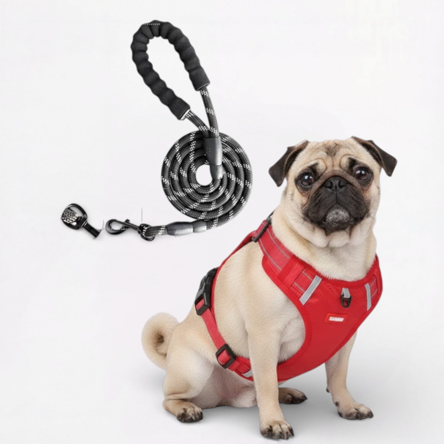 SecureStride-Pug-Harness-Leash-Set.jpg