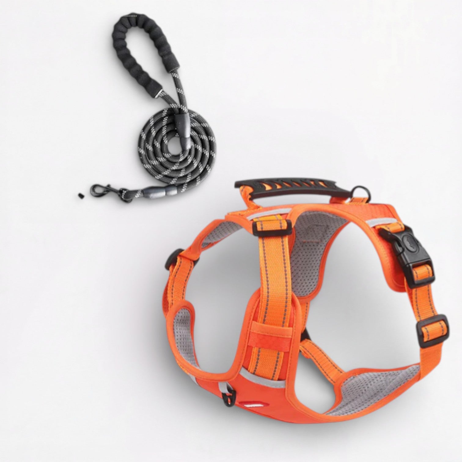 SecureStride-Pug-Harness-Leash-Set.jpg