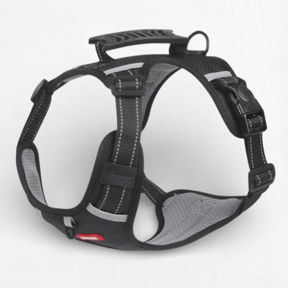 SecureStride-Pug-Harness-Leash-Set.jpg