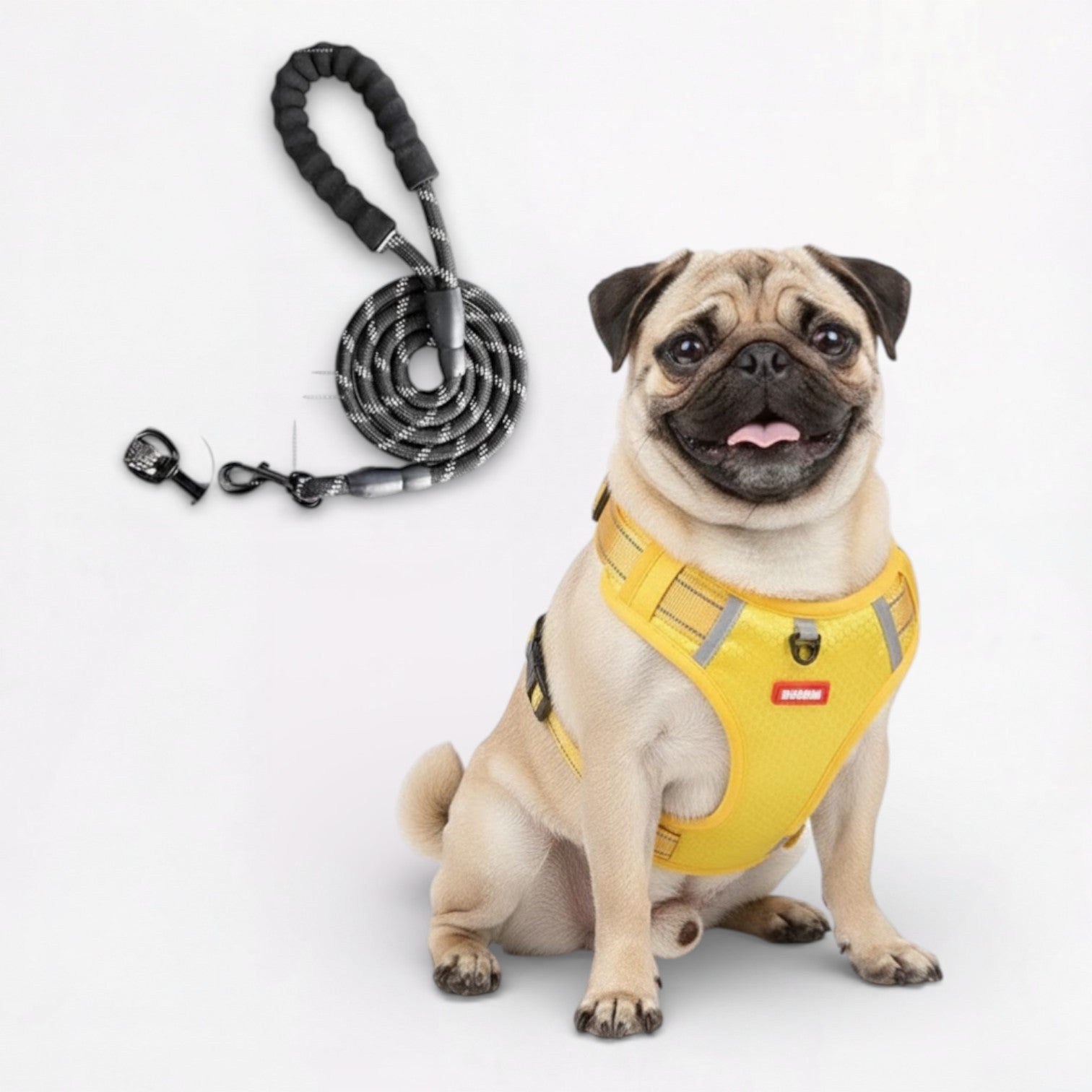 SecureStride-Pug-Harness-Leash-Set.jpg