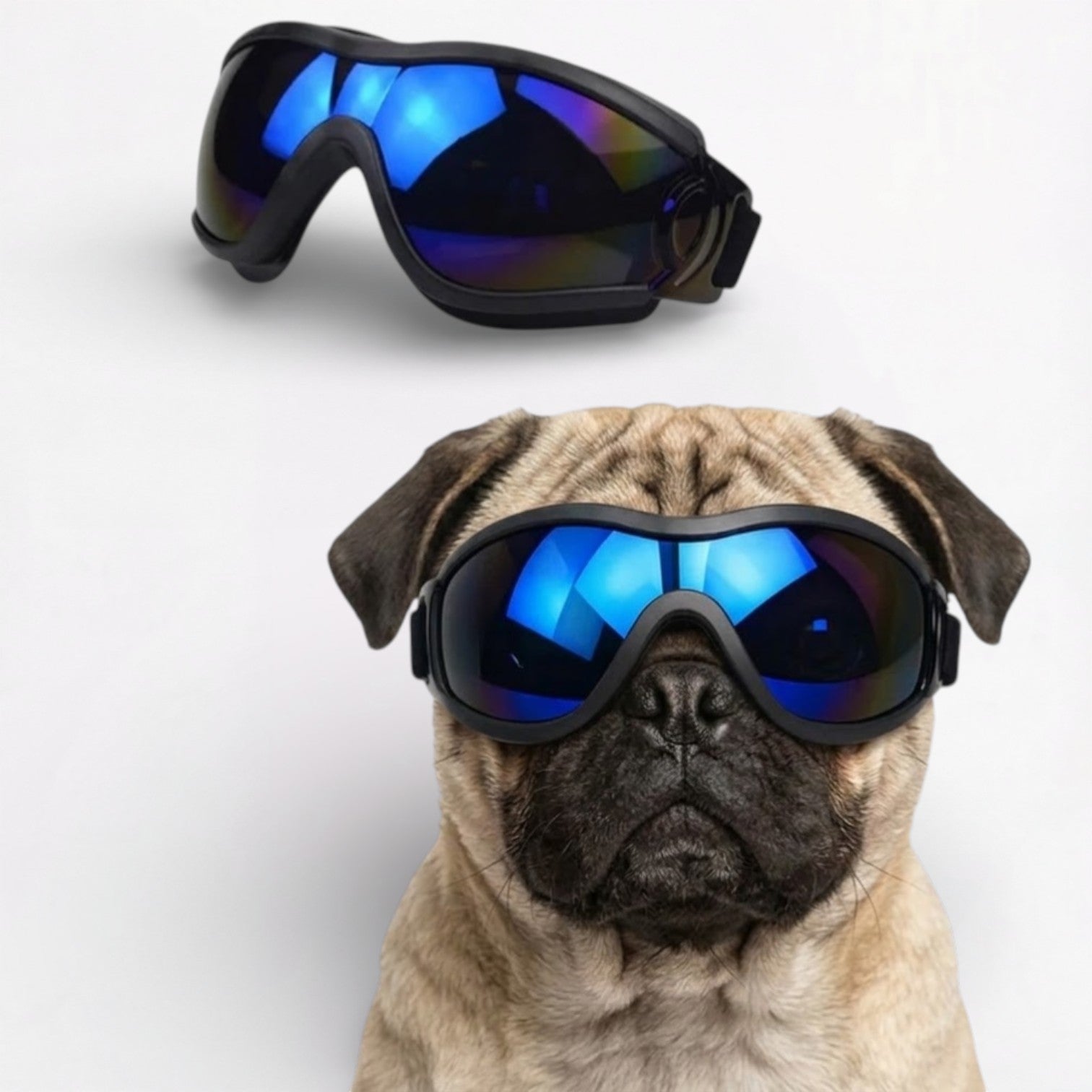 ShadePup-Pug-Goggles.jpg