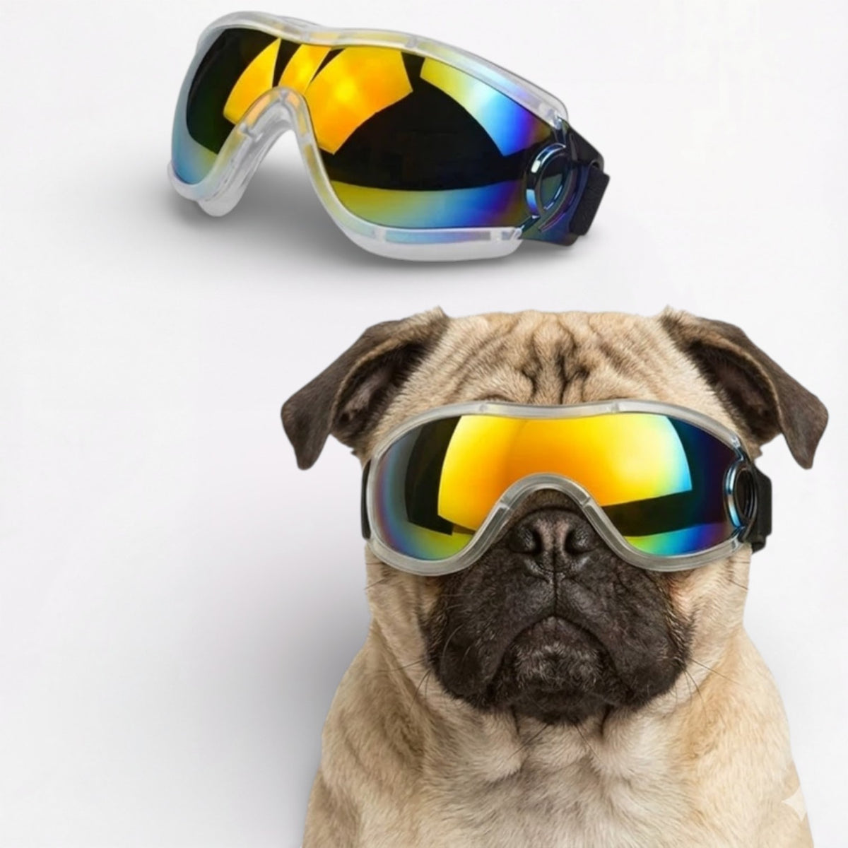 ShadePup-Pug-Goggles.jpg