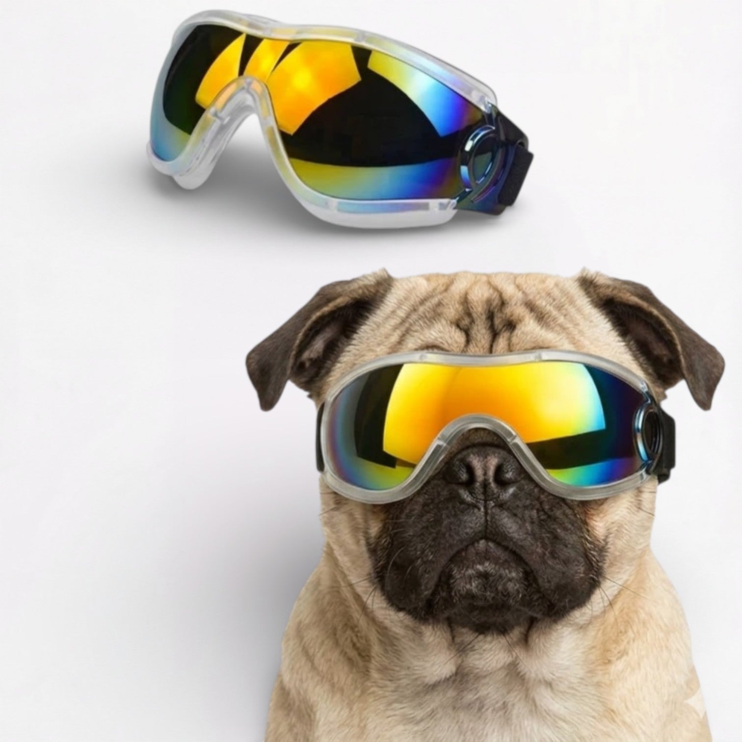 ShadePup-Pug-Goggles.jpg