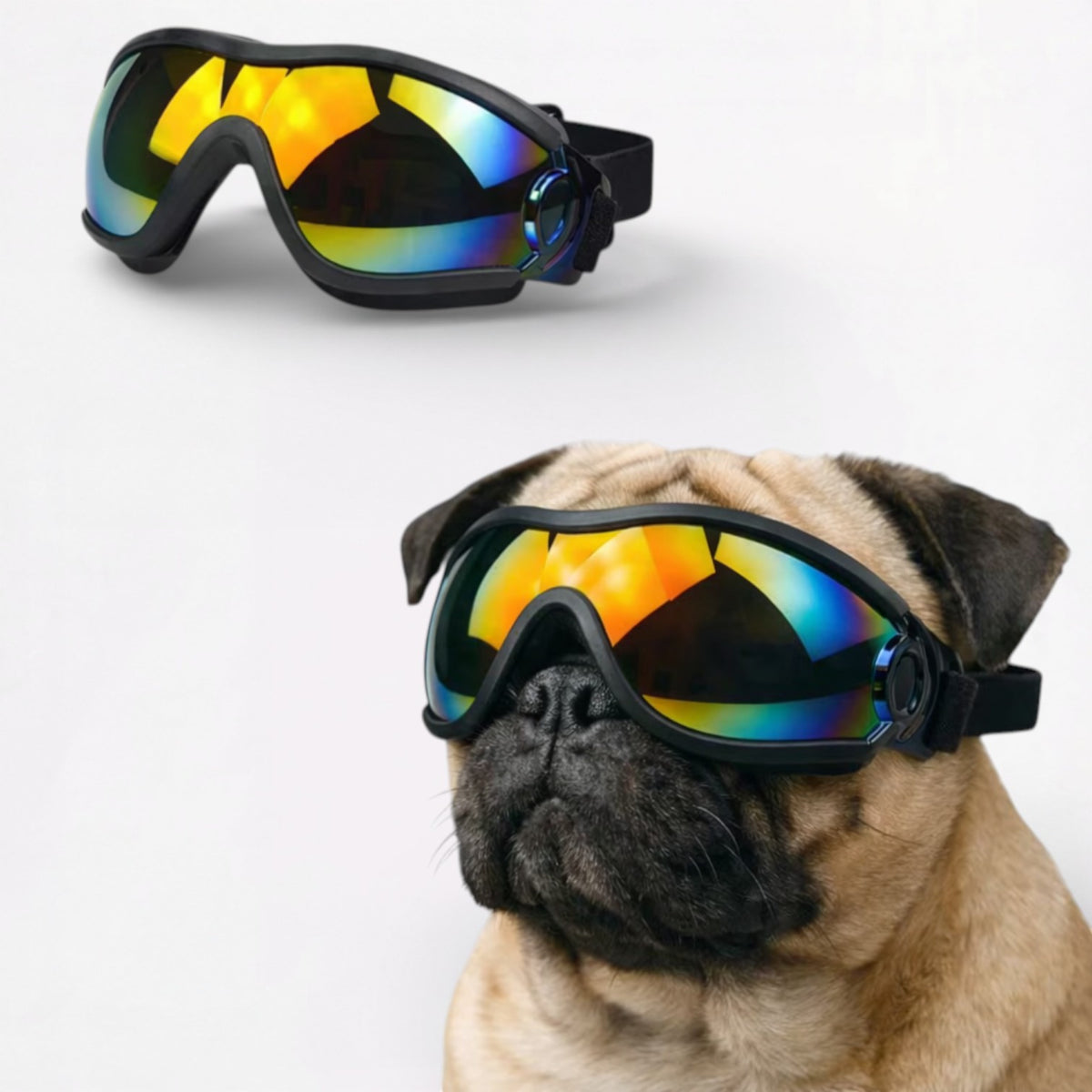 ShadePup-Pug-Goggles.jpg