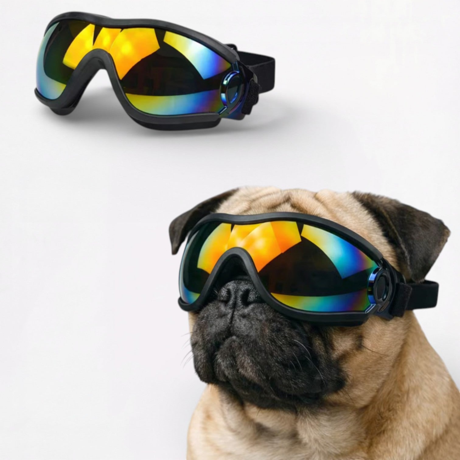 ShadePup-Pug-Goggles.jpg