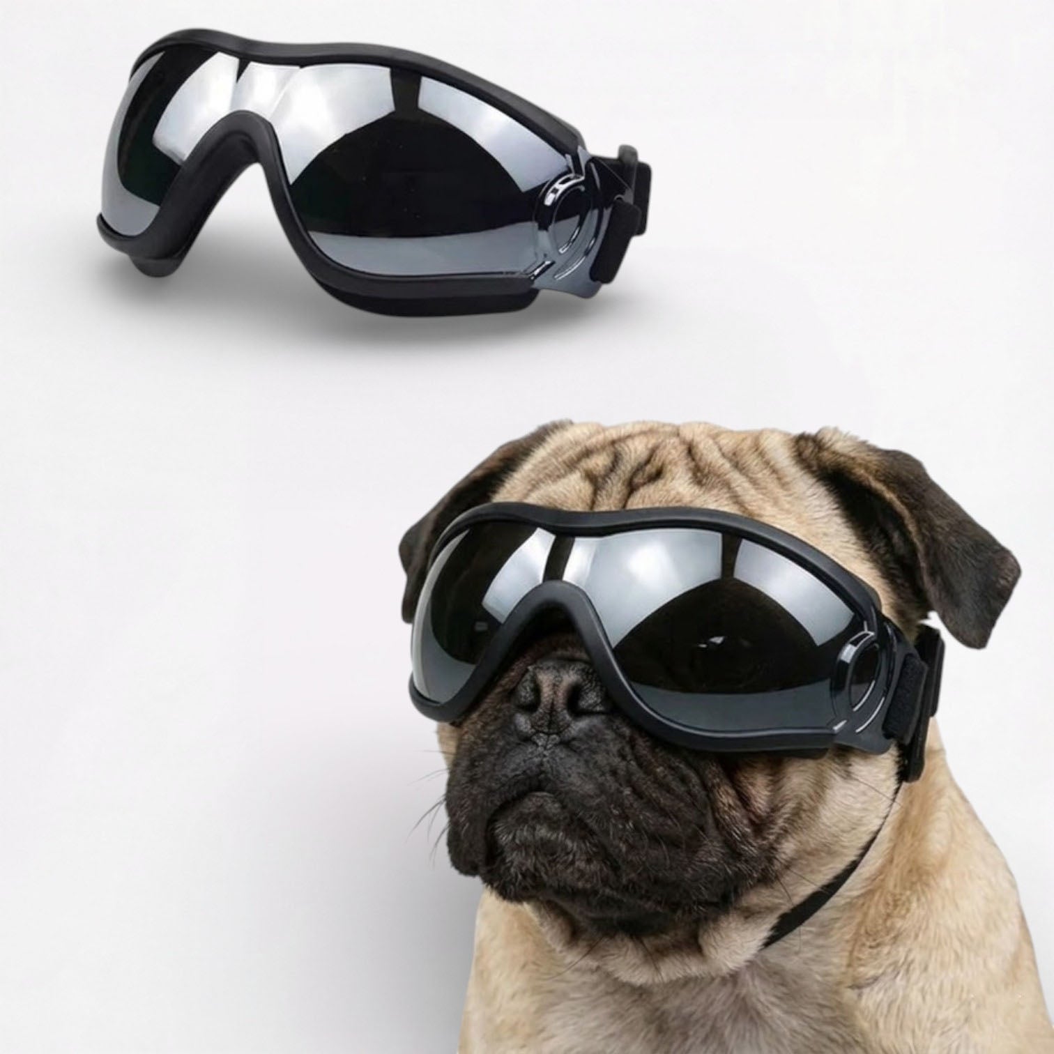 ShadePup Pug Goggles – Windproof UV Protection Dog Sunglasses
