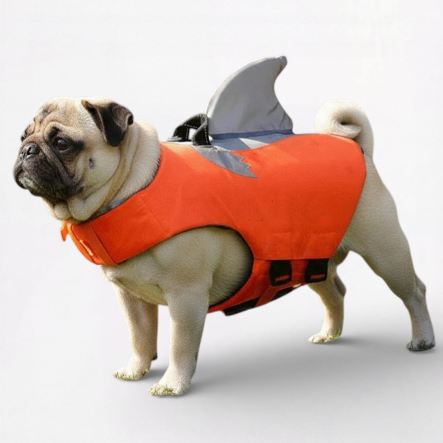 SharkPaw-Pug-Shark-Life-Vest.jpg