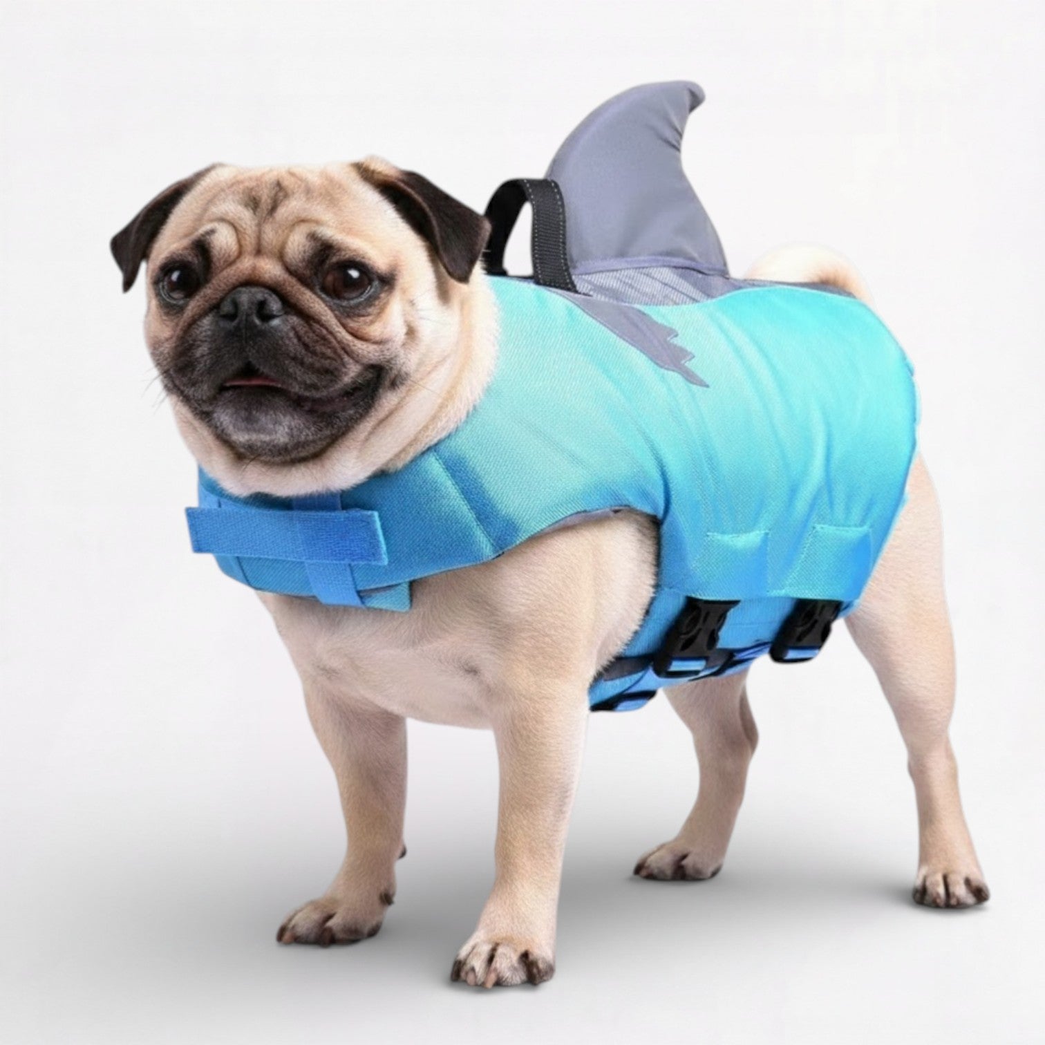 SharkPaw-Pug-Shark-Life-Vest.jpg