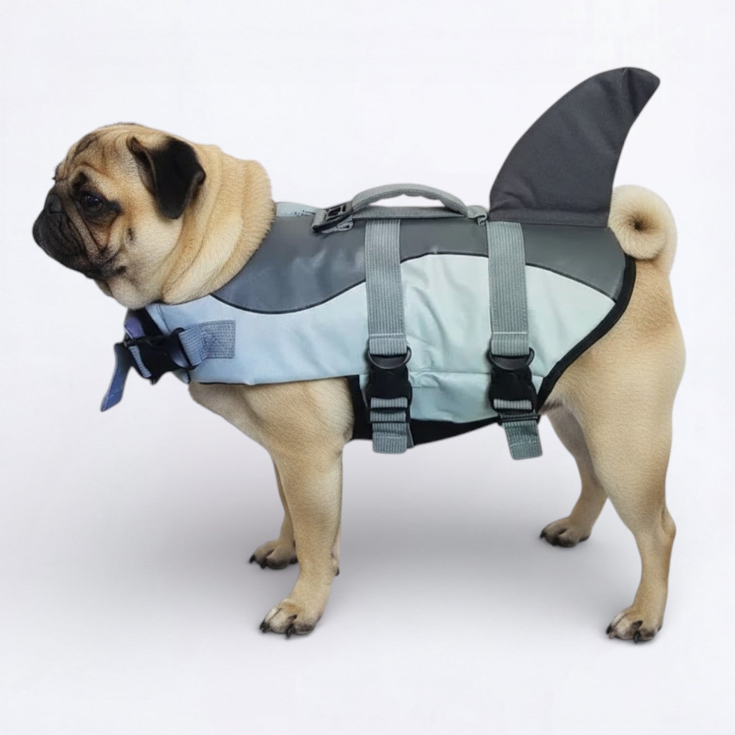Sharksy-Pug-Life-Vest.jpg
