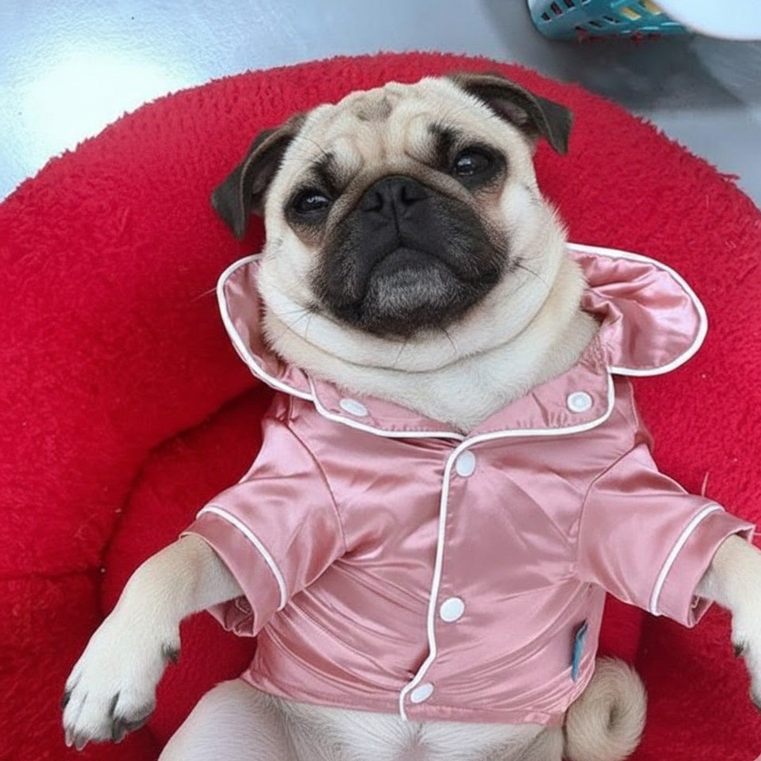 Silkora-Pug-Silk-Pajamas-Shirt.jpg
