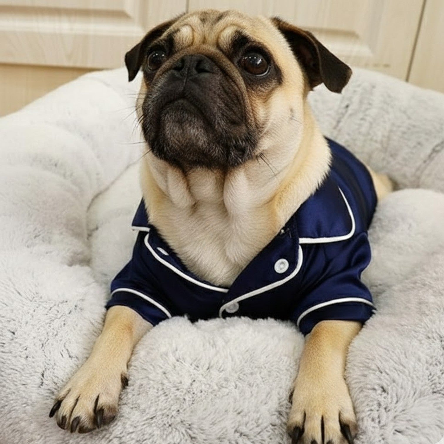 Silkora-Pug-Silk-Pajamas-Shirt.jpg