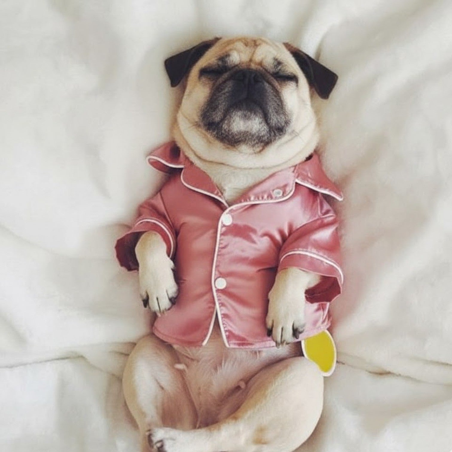 Silkora-Pug-Silk-Pajamas-Shirt.jpg