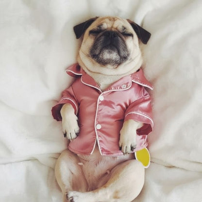 Silkora-Pug-Silk-Pajamas-Shirt.jpg