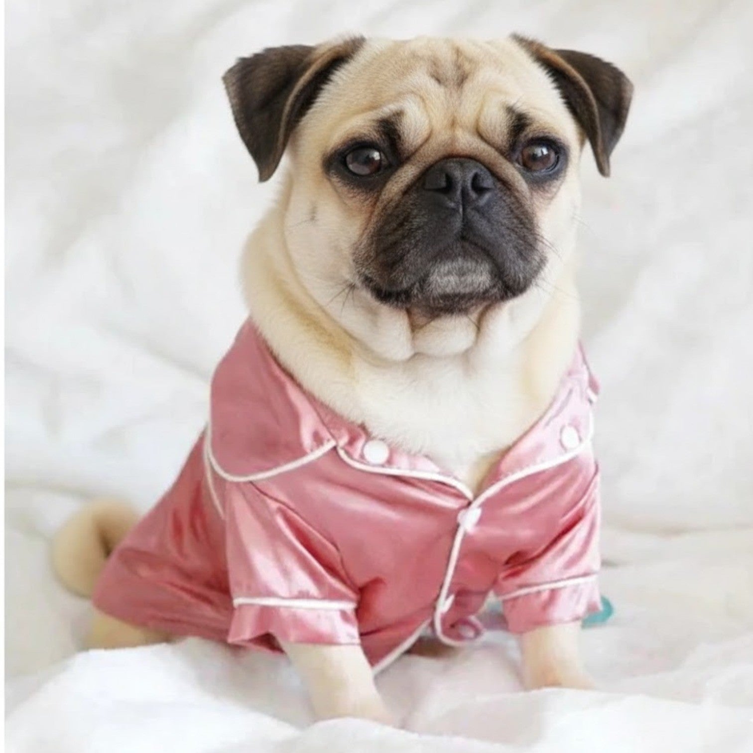 Silkora-Pug-Silk-Pajamas-Shirt.jpg
