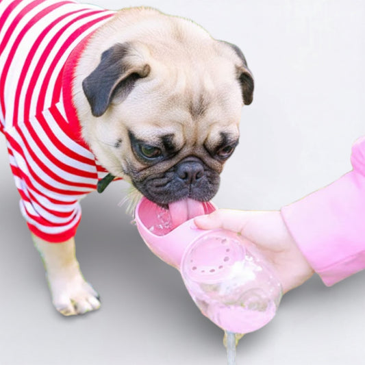 Sipster-Pug-Portable-Water-Bottle.jpg
