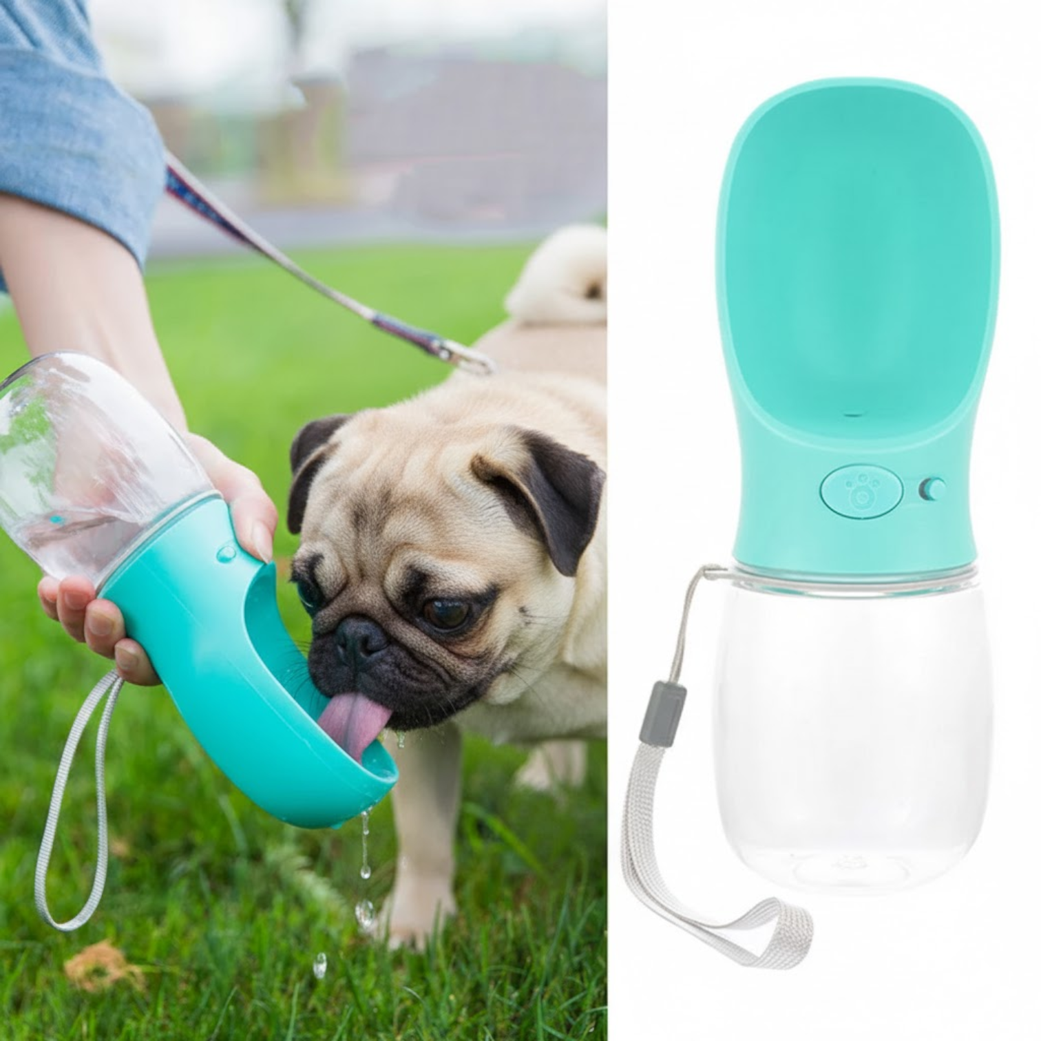 Sipster-Pug-Portable-Water-Bottle.jpg