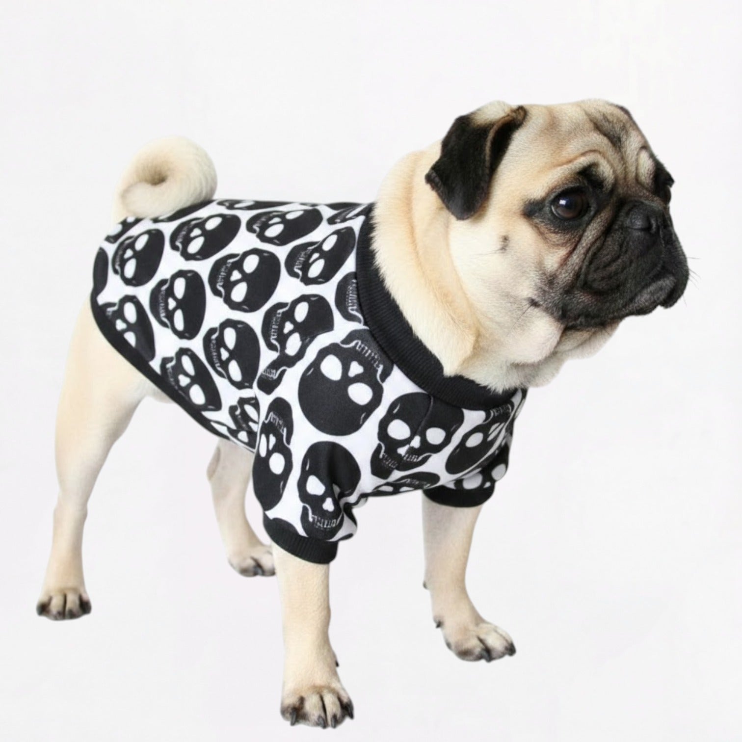 SkullPop-Pug-Skull-Pattern-Shirt.jpg