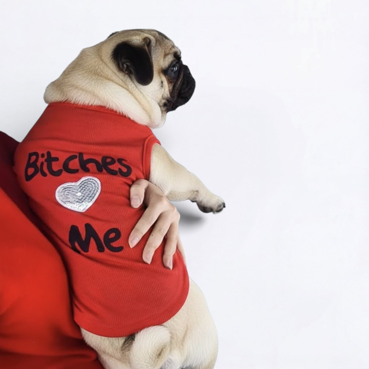 SnarkPup-Bitches-Love-Me-Pug-T-Shirt.jpg