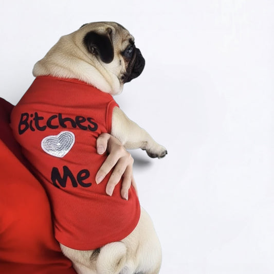 SnarkPup-Bitches-Love-Me-Pug-T-Shirt.jpg