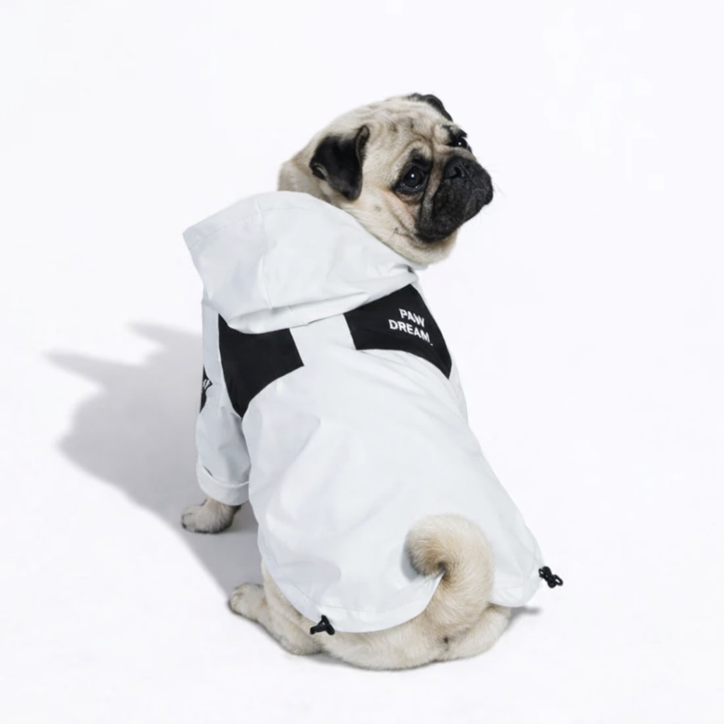 SnowPaw-Pug-Raincoat.jpg