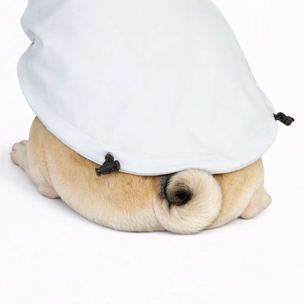 SnowPaw-Pug-Raincoat.jpg