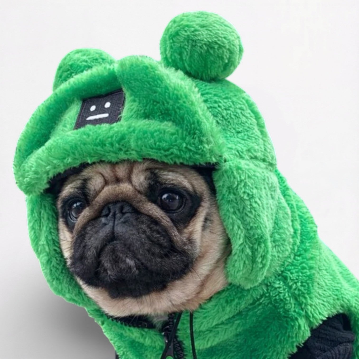 SnugBear-Pug-Winter-Hat.jpg