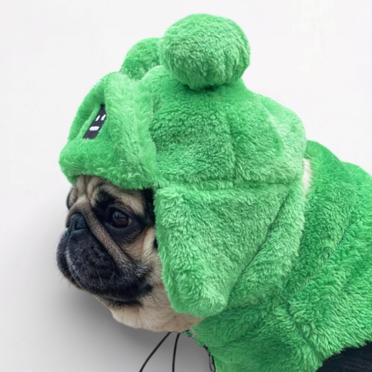 SnugBear-Pug-Winter-Hat.jpg