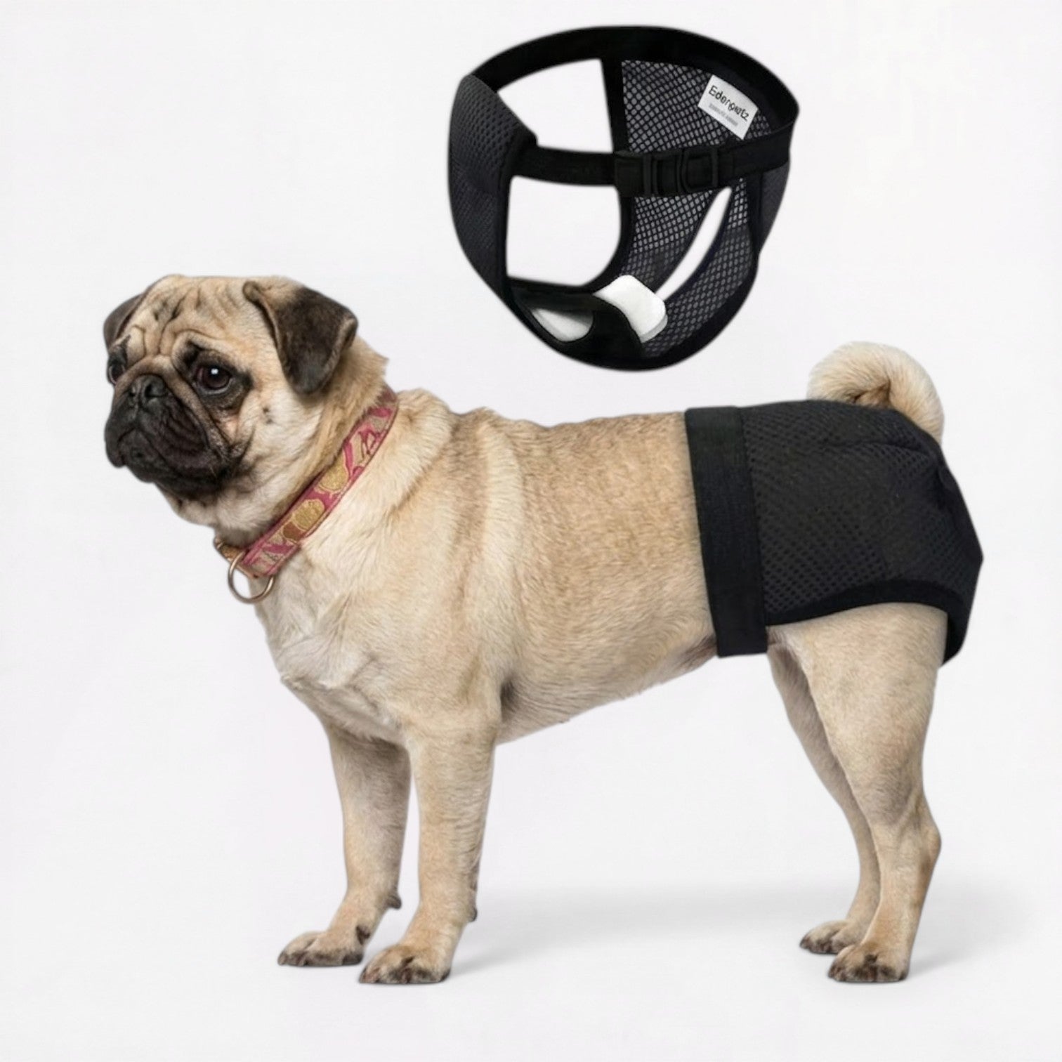 SnugFit-Pug-Leak-Proof-Diaper.jpg