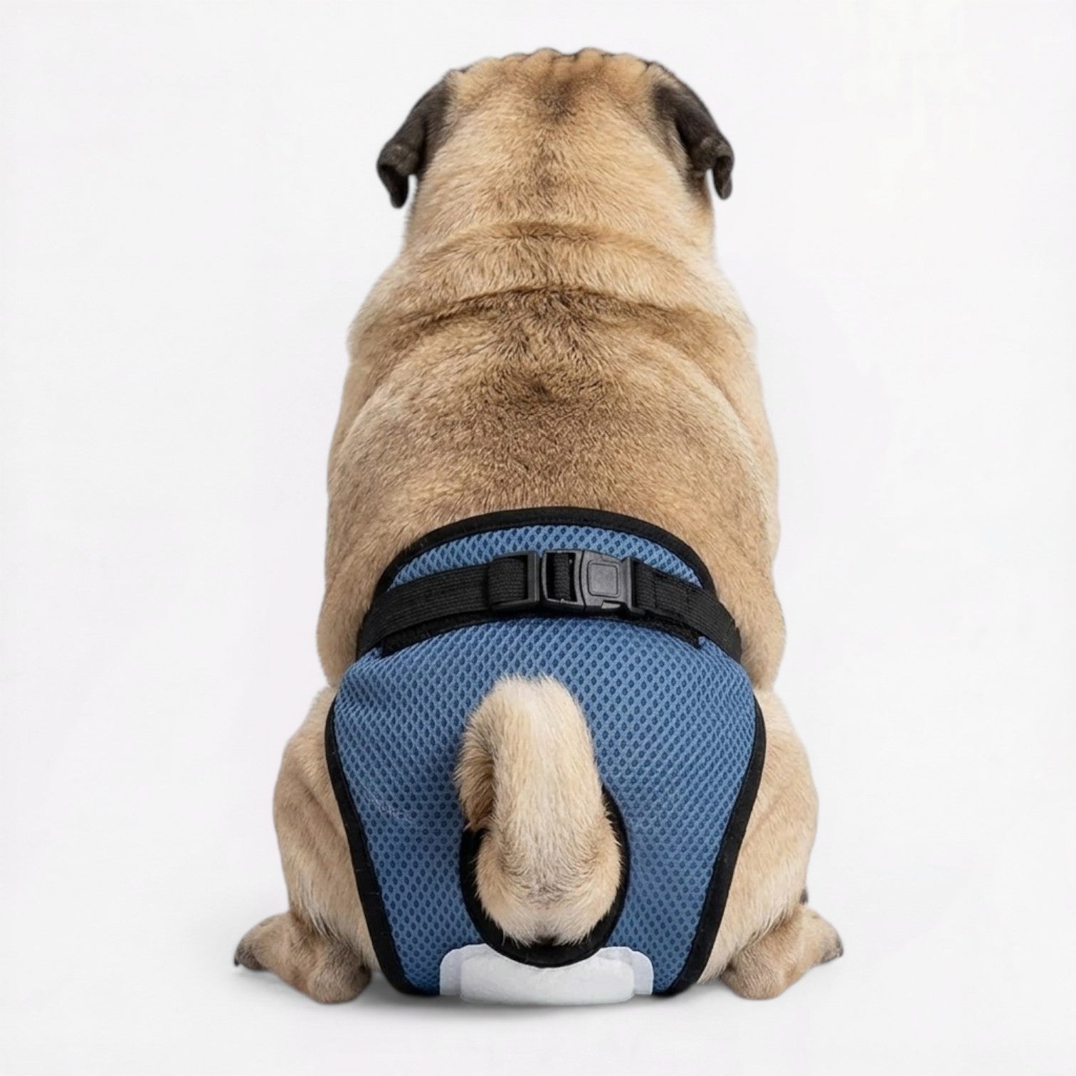 SnugFit-Pug-Leak-Proof-Diaper.jpg