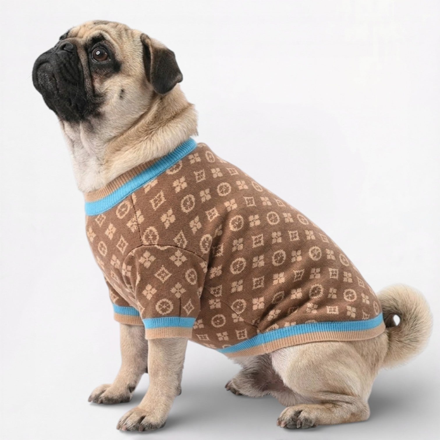 SnugPattern-Pug-Winter-Sweater.jpg