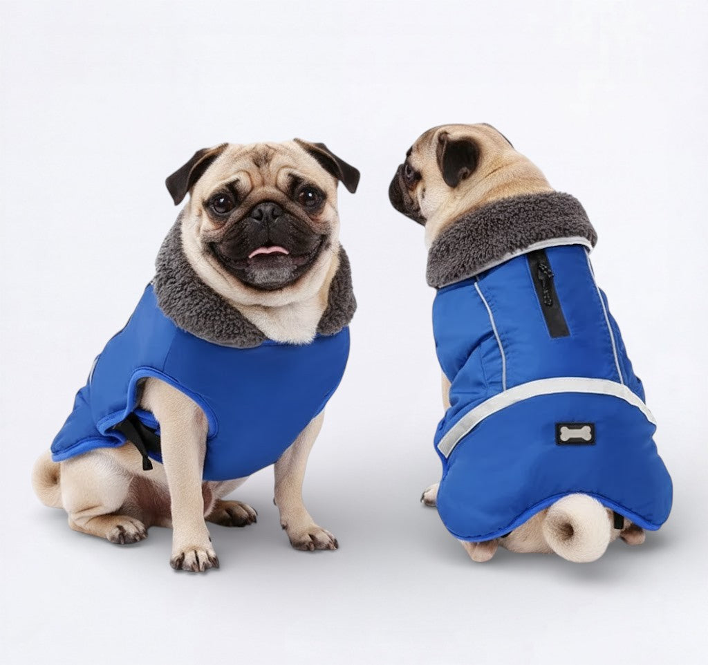 SnugPaw-Pug-Winter-Coat.jpg