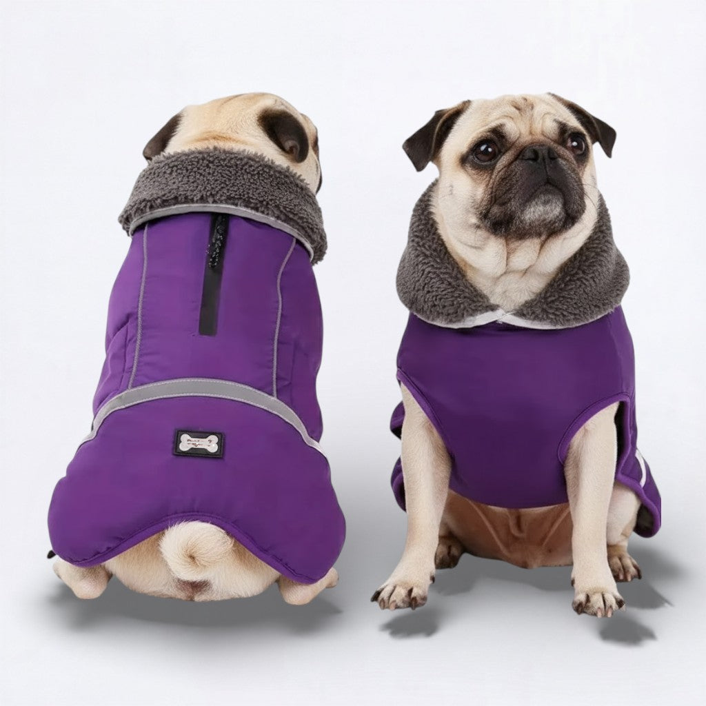 SnugPaw-Pug-Winter-Coat.jpg