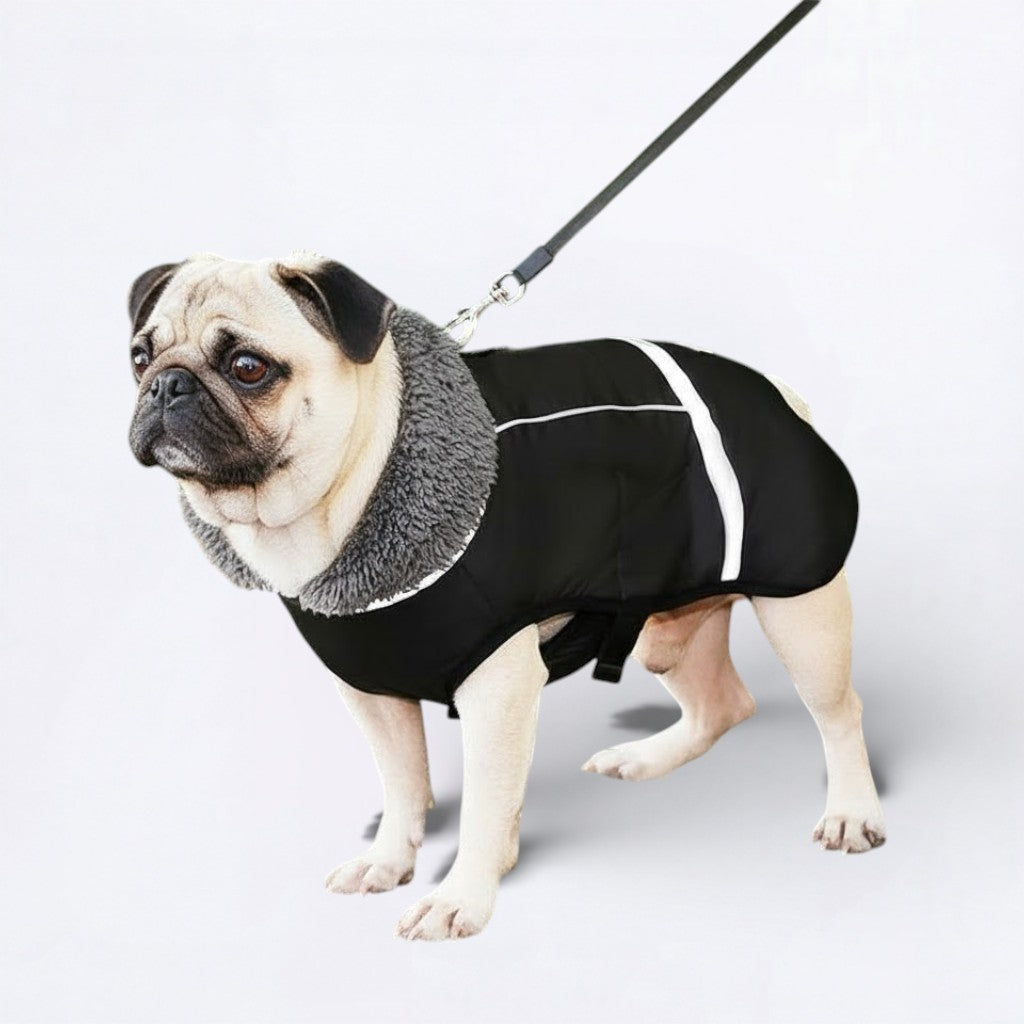 SnugPaw-Pug-Winter-Coat.jpg