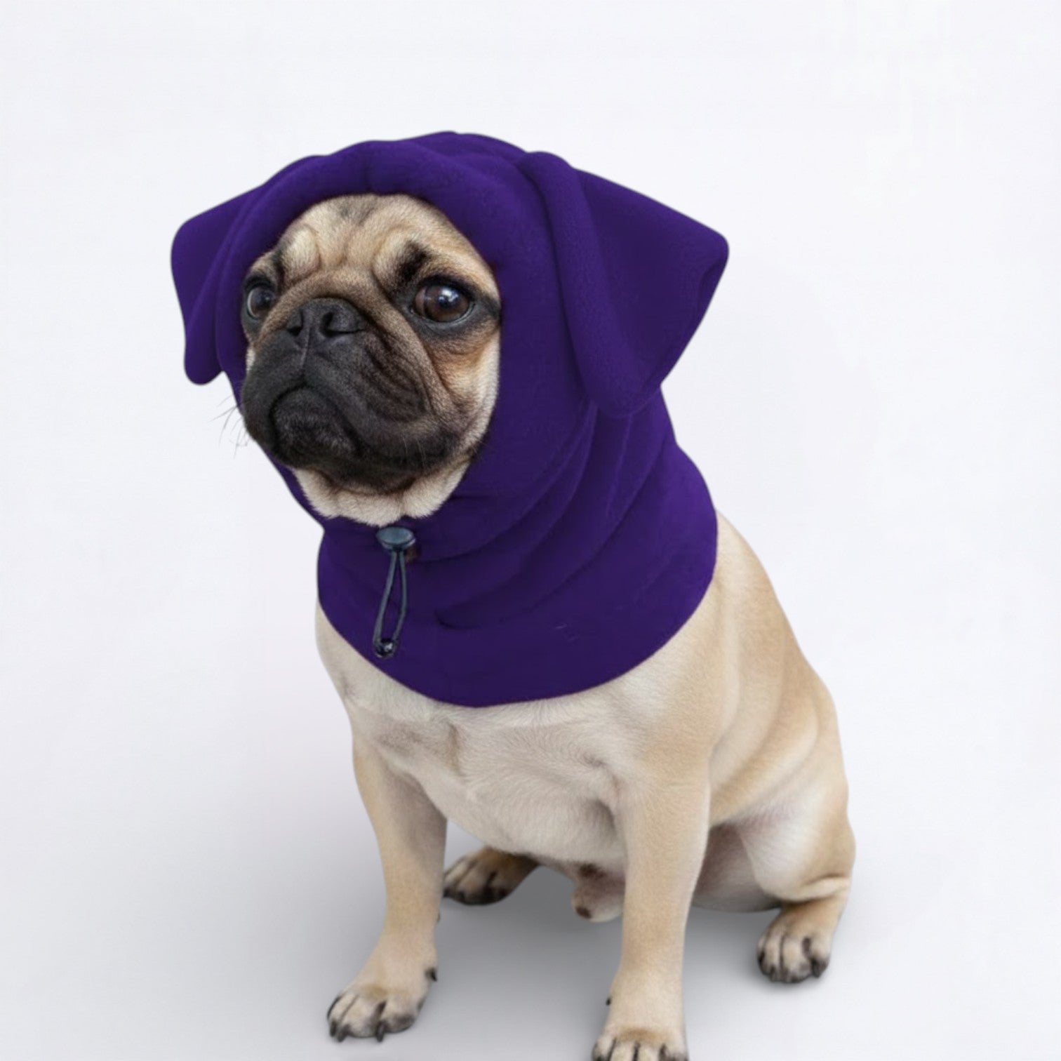 SnugPaw-Pug-Winter-Hat.jpg