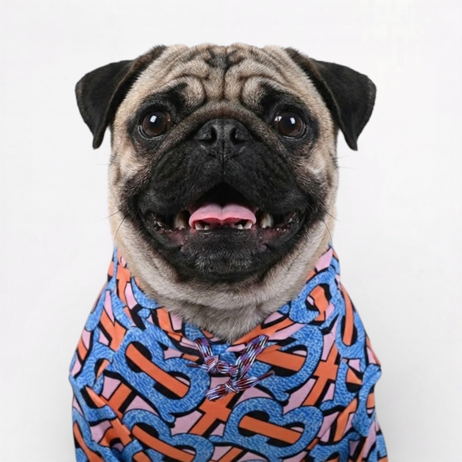 SnugVibe-Pug-Warm-Printed-Hoodie.jpg