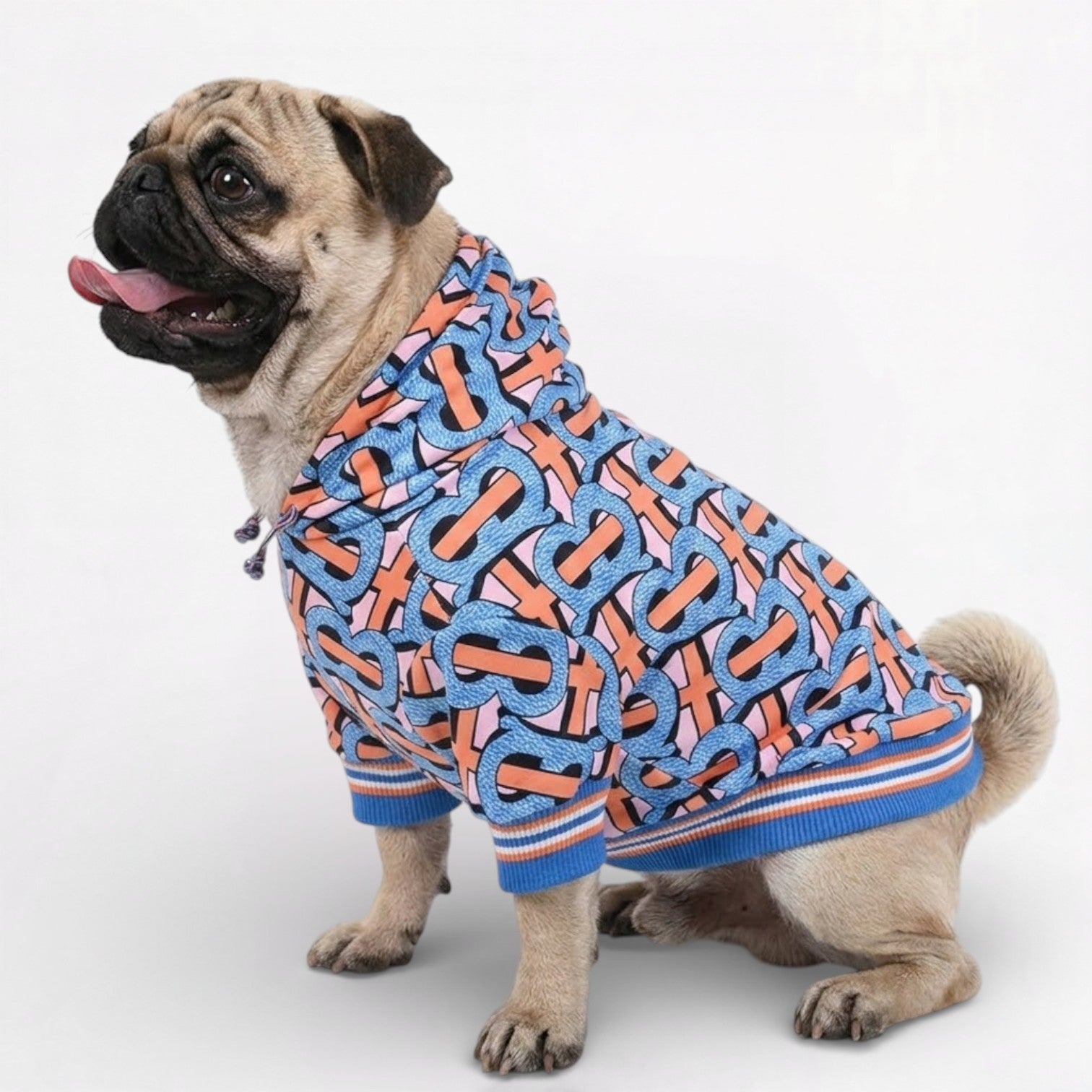 SnugVibe-Pug-Warm-Printed-Hoodie.jpg